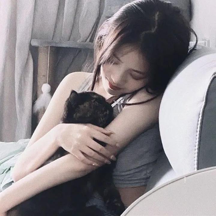 西线无战事